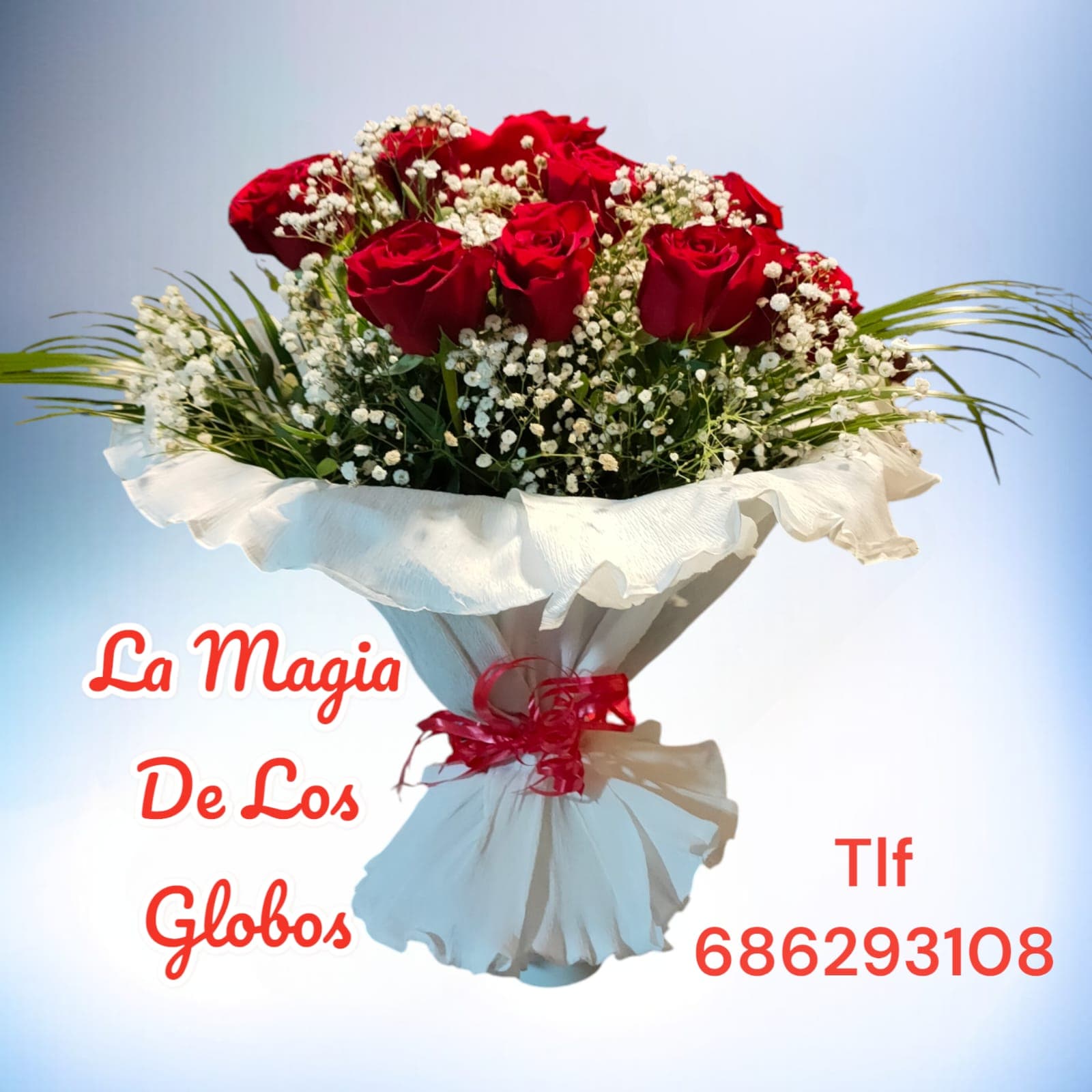 Creación personalizada de La Magia de los Globos